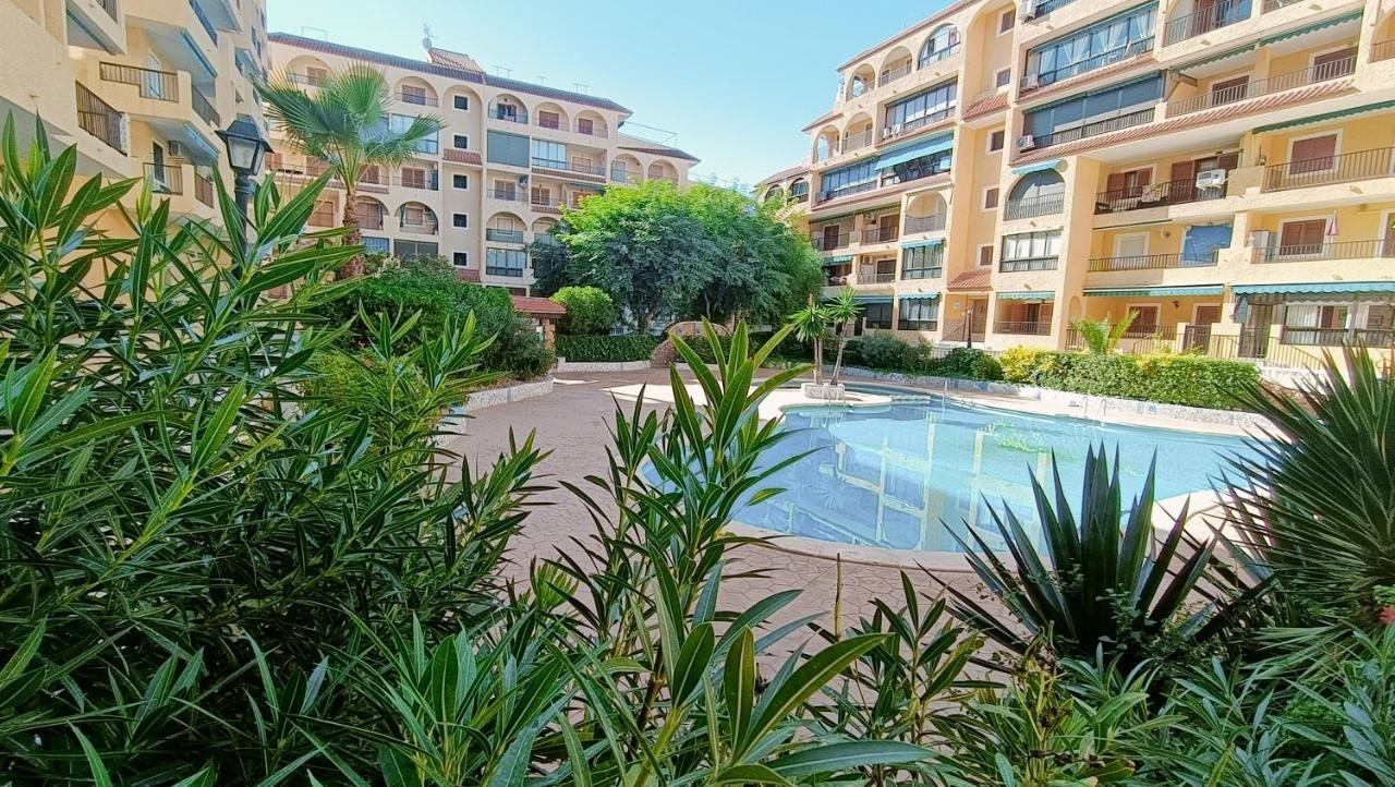 Apartament Grace Resident Studio Apartman La Mata  Zewnętrze zdjęcie