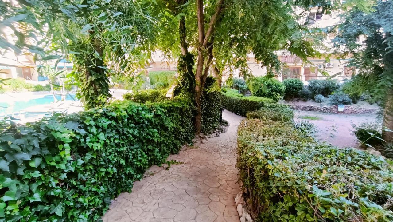 Grace Resident Studio Apartman La Mata  Zewnętrze zdjęcie