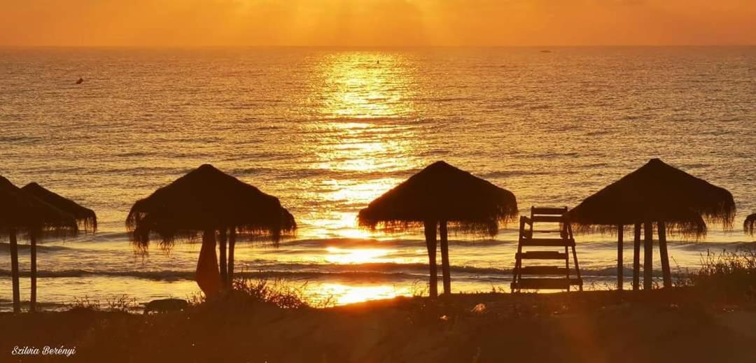 Grace Resident Studio Apartman La Mata  Zewnętrze zdjęcie